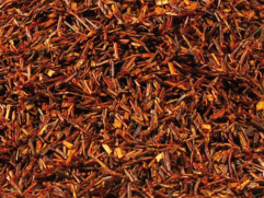 ROOIBOS | HONEYBUSH