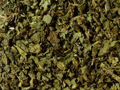 Brandnetel thee 100 gram