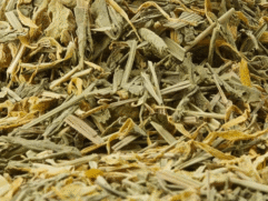 Biologische groene matcha thee met appel