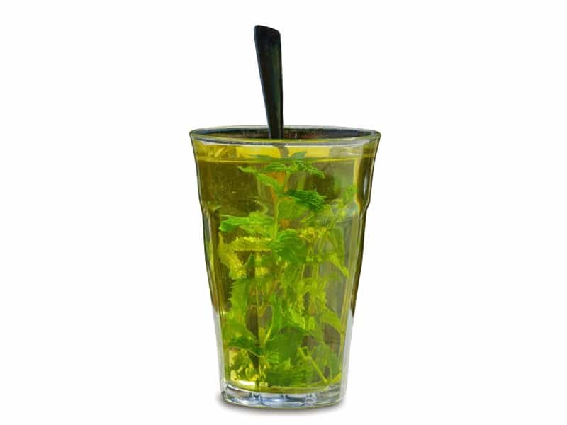 Verse marokkaanse muntthee