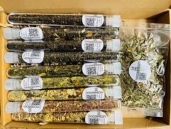 Organic thee proefpakket II