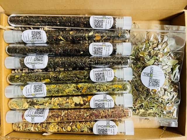 Organic thee proefpakket II