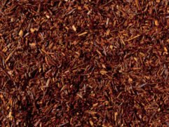 Rooibos Vanille