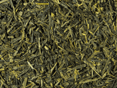 Sencha Vanilla