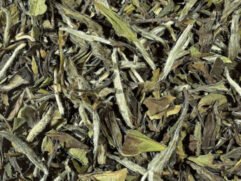 Witte thee Pai Mu Tan