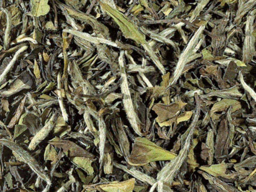 Witte thee Pai Mu Tan