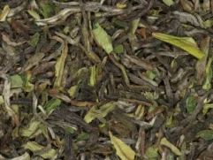 Darjeeling First Flush