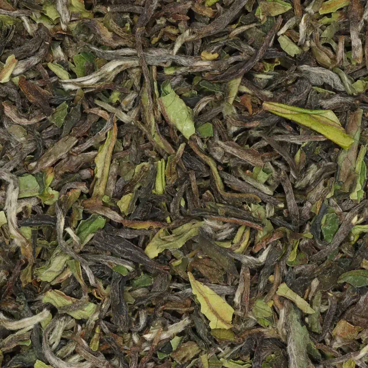 Darjeeling First Flush